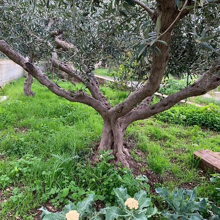 Li Vigni House Apartment Custonaci Bagian luar foto